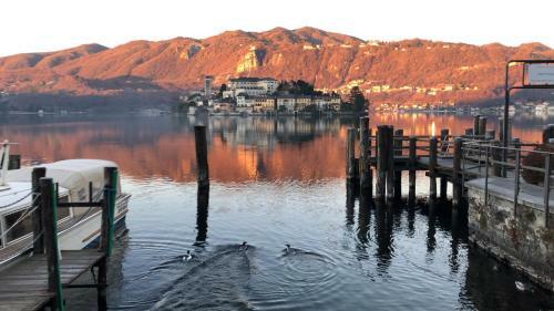 Orta Lake Gippina Jr