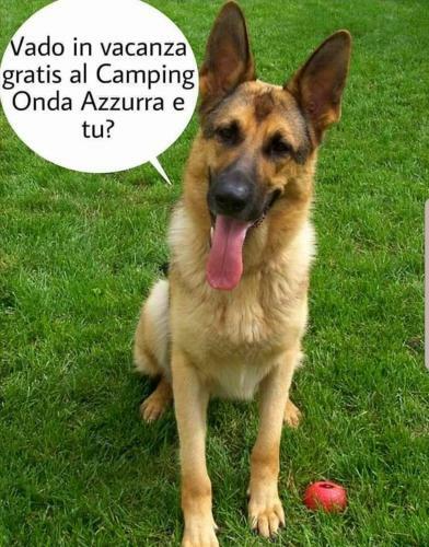 Camping Onda Azzurra
