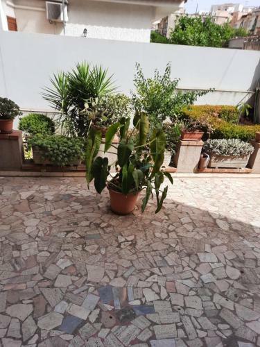Apartamento Casa Vacanze Le Palme Netine