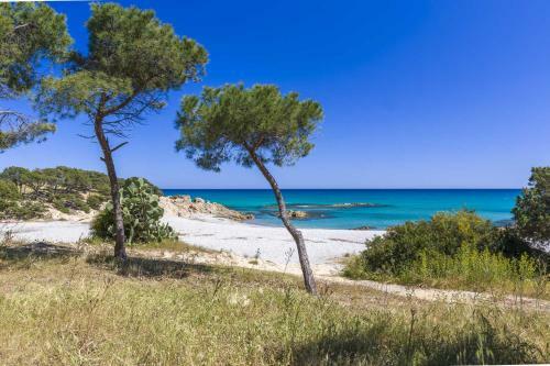 Apartamento Casa Delle Mimose