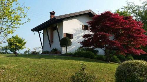 Dolomitas Home