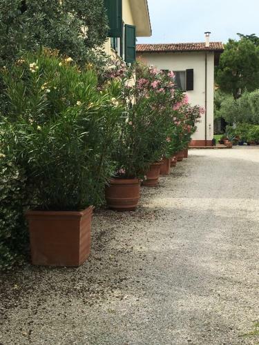 Villa Oliveto