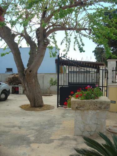 Villa Raffaella