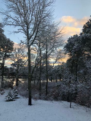 The Breeze On Minister's Pond