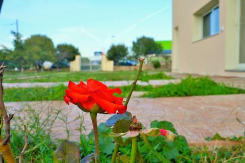 Hostal La Maison Di Zia Annina In Sardegna