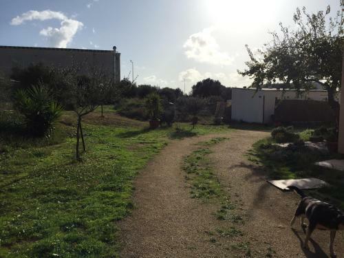 Apartamento Sardegna Mer Et Soleil