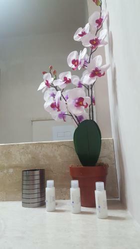Hostal Zia Mia B&B