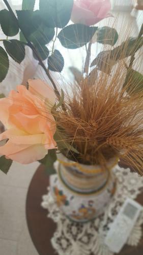 Hostal Zia Mia B&B