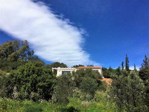 La Casa Di Alice Villa
