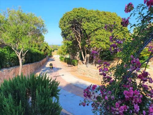 Apartamento Villa Saba