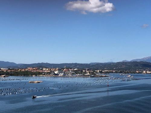 Olbia Mare Marina Seaview Apartment