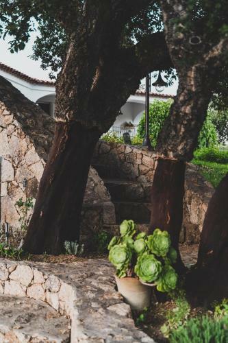 Bed & Breakfast Maria Carmela Intense Living