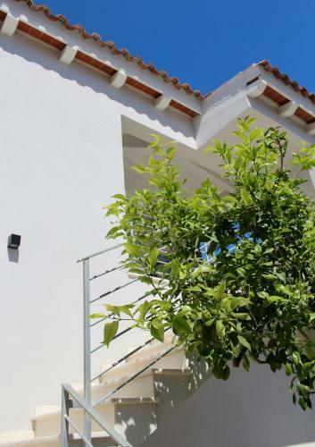 Hostal Citroom - Green City Rooms