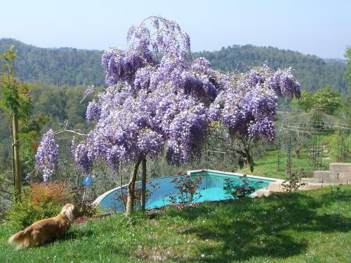 Villa Monterosoli