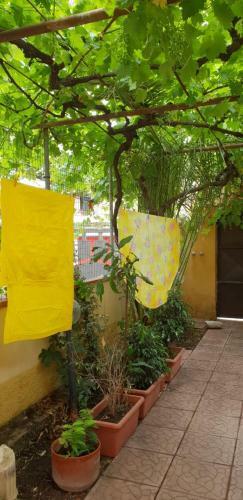 Apartamento Appartamenti Villa Wanda