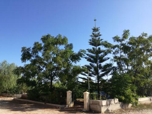 Bed & Breakfast La Lanterna Delle Fate