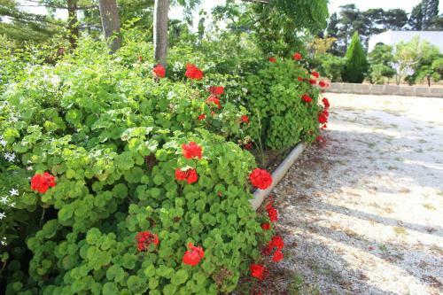 Bed & Breakfast La Lanterna Delle Fate