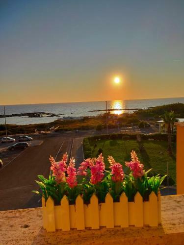 Apartamento Bilocale Punta Rosa - Fronte Spiaggia