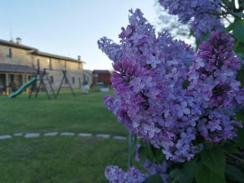 Apartamento Podere San Crico