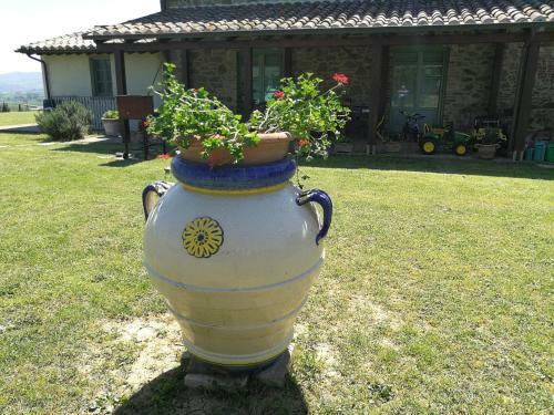 Apartamento Podere San Crico