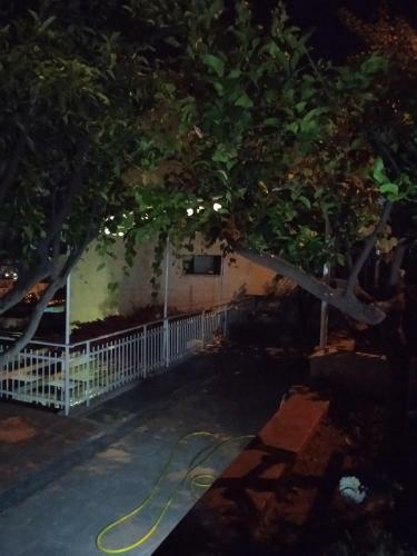 Le Zagare B&B