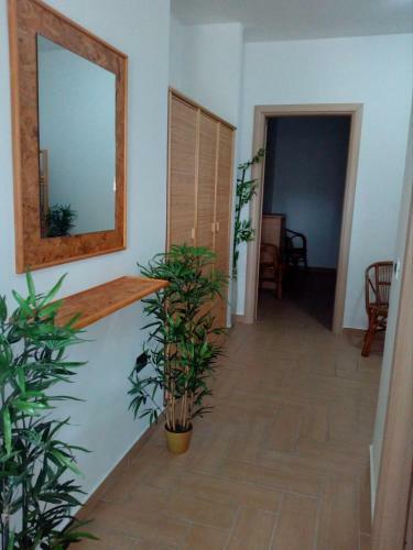 Hostal 5-1-35