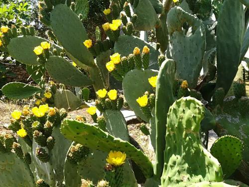 Bed & Breakfast Villa Apollonia