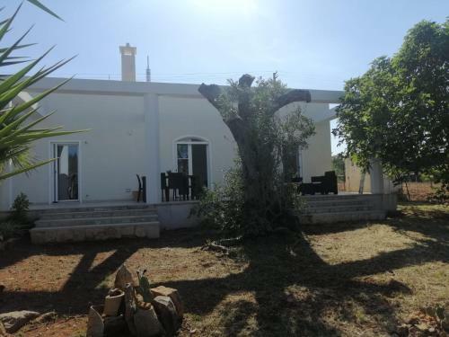 Casina Bar�
