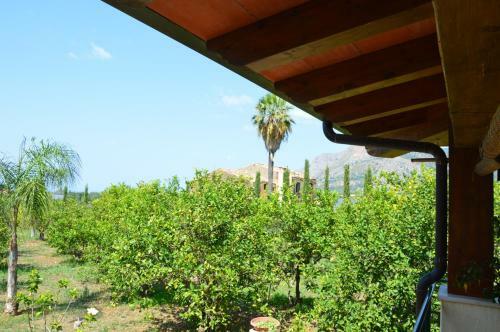 Casa Vacanza Borgo Parrini