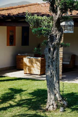 Villa Araucaria