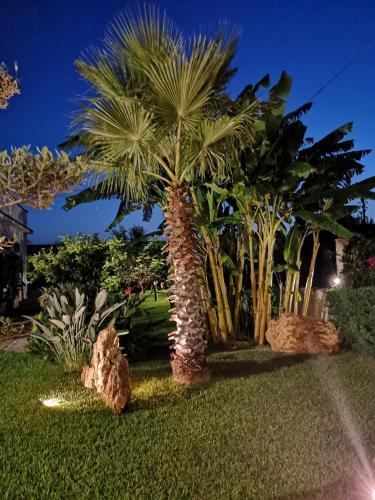 Villa Araucaria