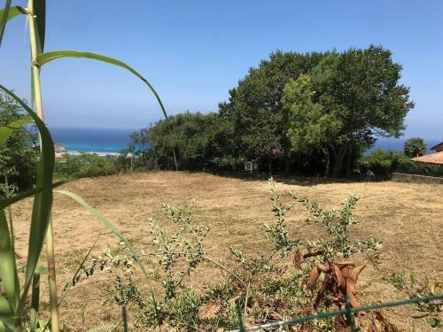 Apartamento Residenza Crivo