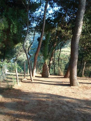Apartamento Residenza Crivo