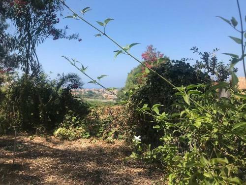 Apartamento Residenza Crivo