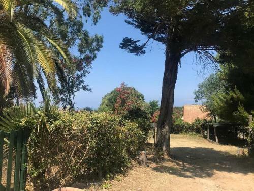 Apartamento Residenza Crivo