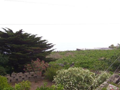 Dammusi