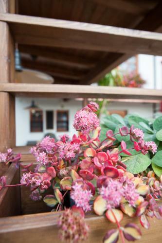 Hostal Landgasthof Fally
