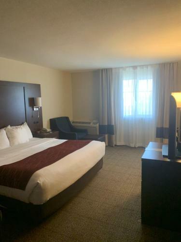 Hotel Comfort Inn Santa Rosa