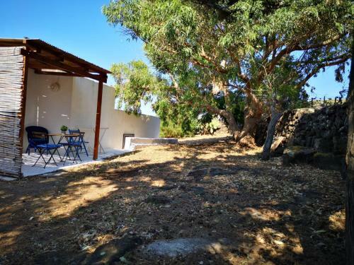 La Casa Del Pettirosso