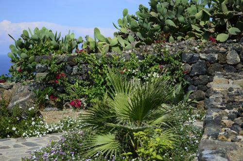 Apartamento Kammamia