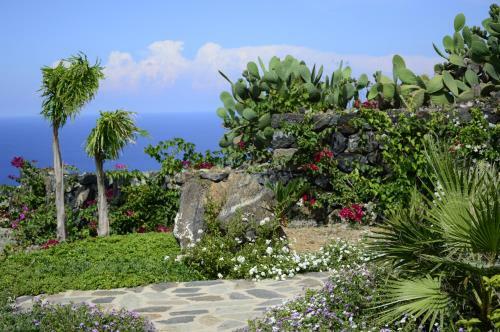Apartamento Kammamia
