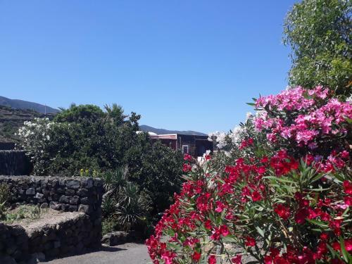 Agriturismo La Cala Cottone