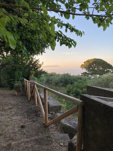 Apartamento L'ulivo In Villa Greco