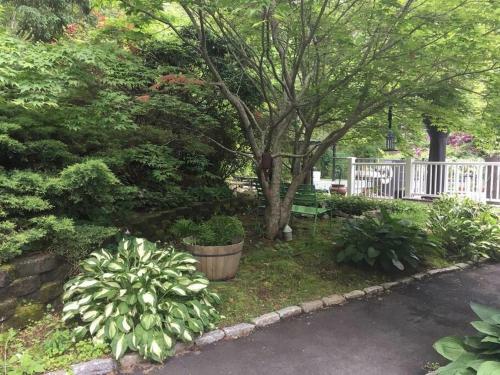 Treetops Retreat 1 Bedroom Apartment