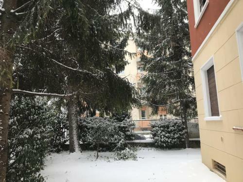 Apartamento La Mimosa, Cittadella Downtown