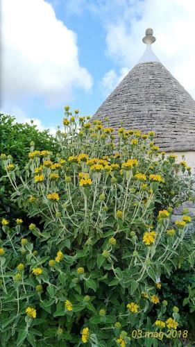 Trulli Eutopia