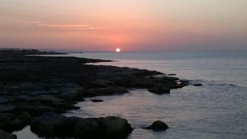Aurasia Alla Marina