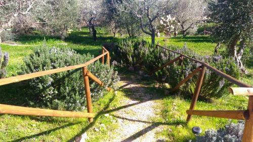 Ostuni Profumo Di Provenza