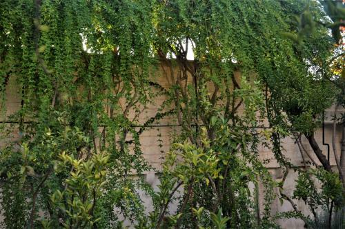 Bed & Breakfast Il Sogno Delle Benedettine