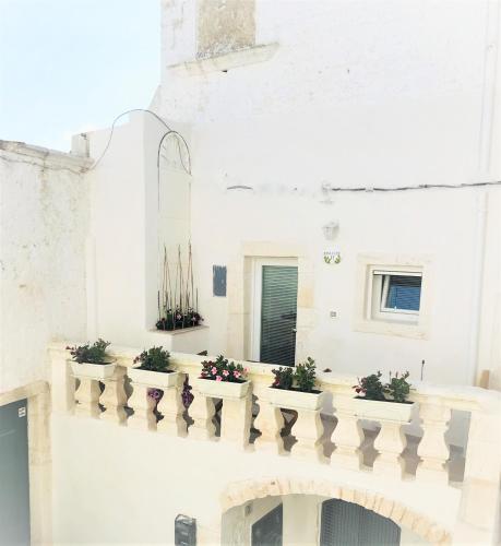 Apartamento Casa Flami'
